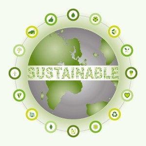 Sustainable Packaging